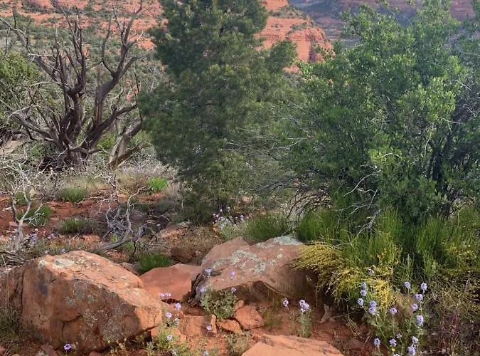 - Thunder Mountain Sedona